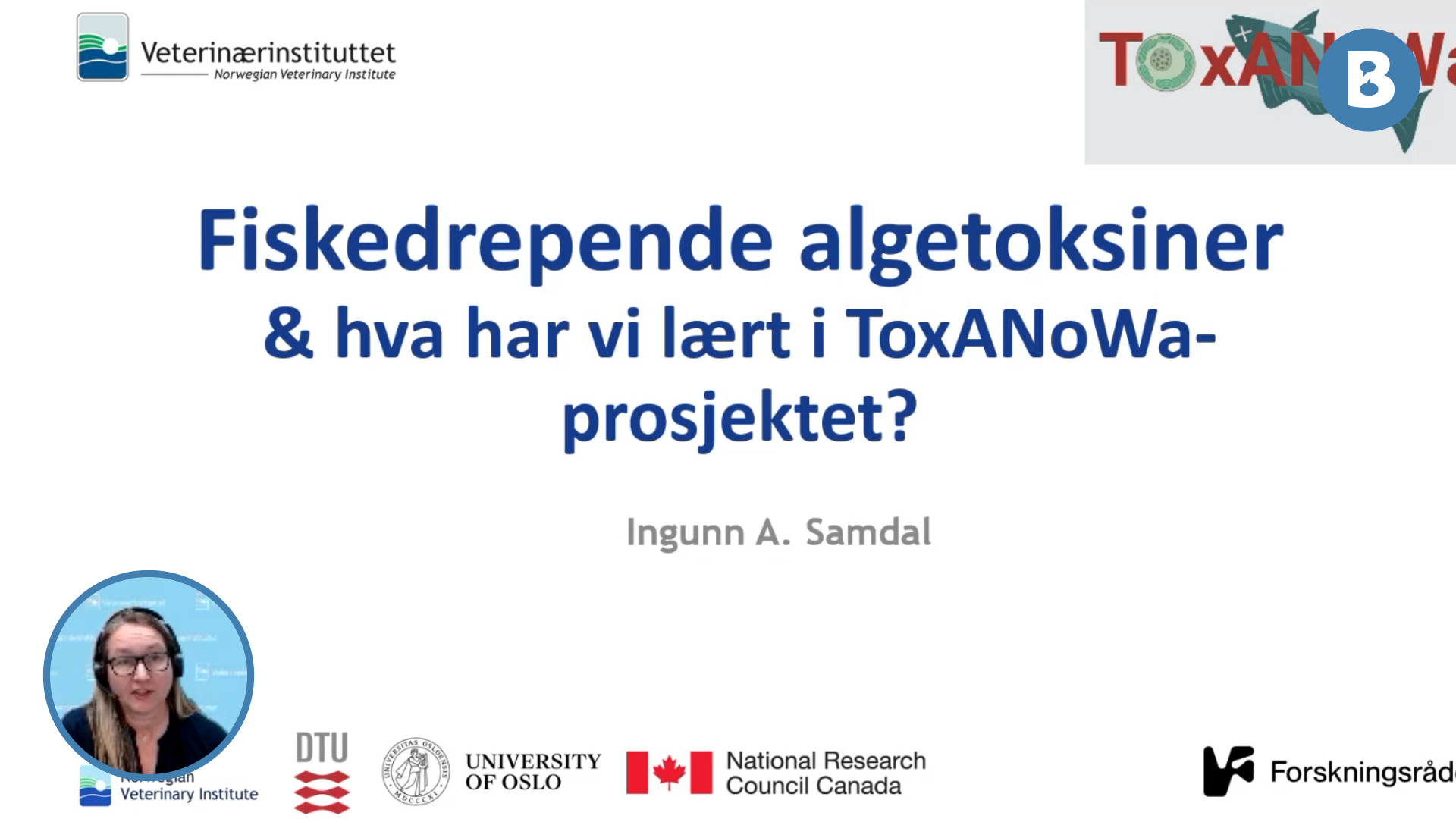 Image for Giftstoff fra laksedrepende alger