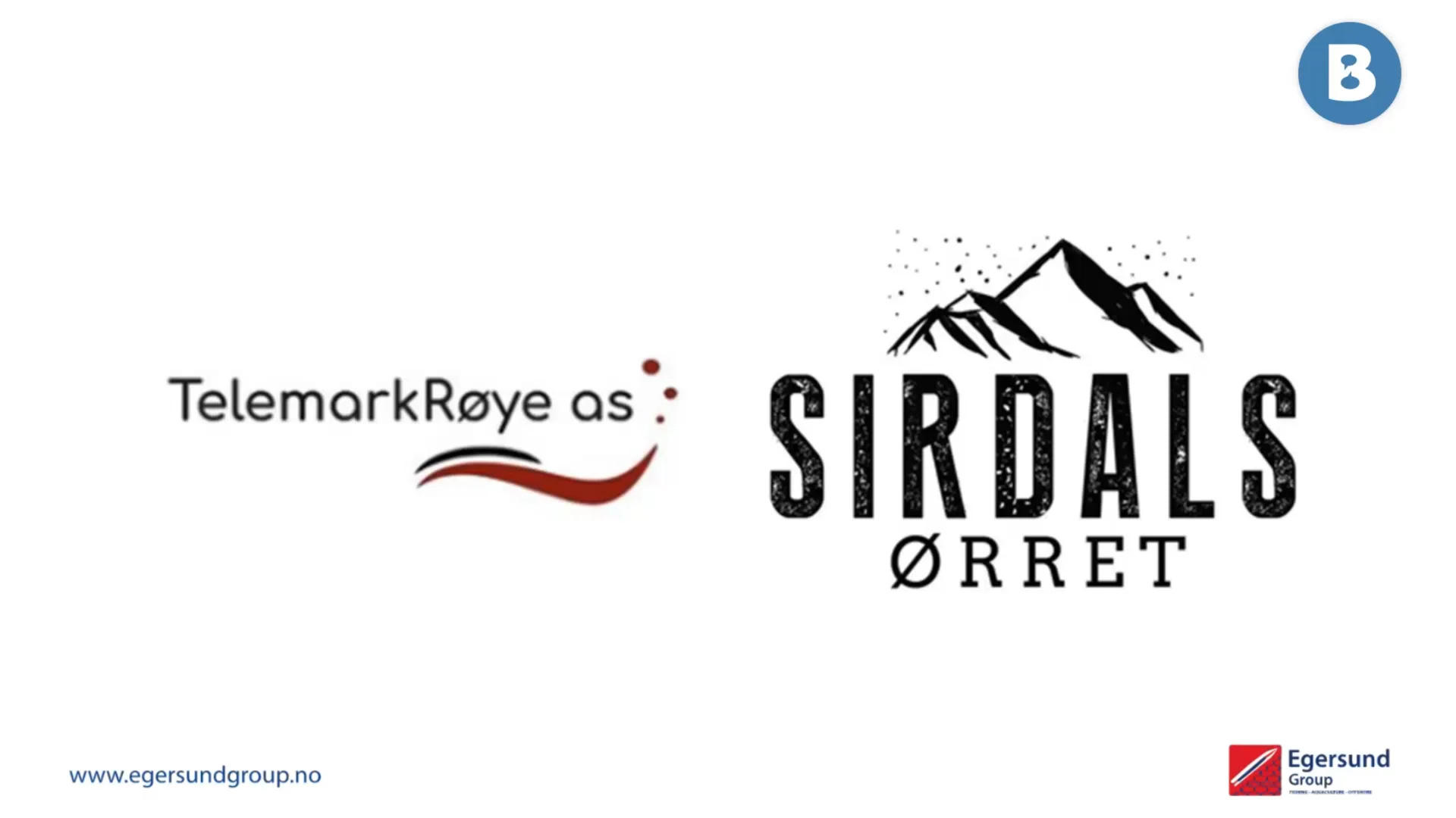 Image for Produksjon av norsk brunørret og røye