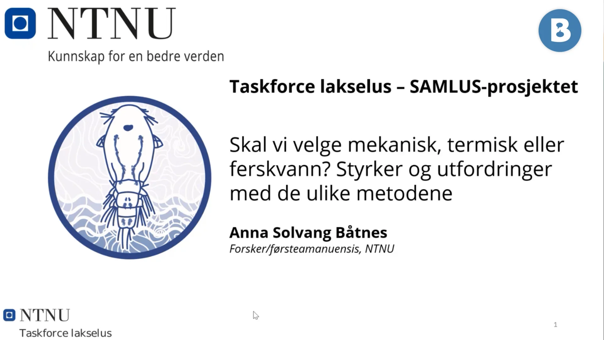 Image for Skal man velge mekanisk, termisk eller ferskvanns behandling for bekjempelse av lus?