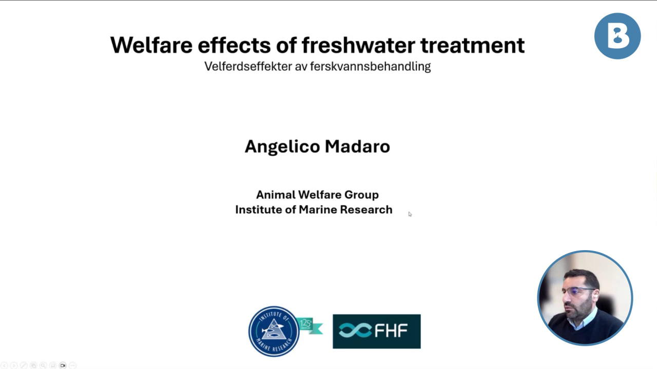 Image for Welfare effects of freshwater treatment