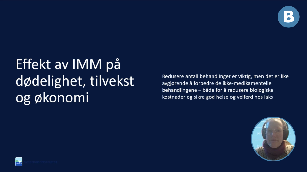Image for Effekter av IMM på dødelighet, tilvekst og økonomi