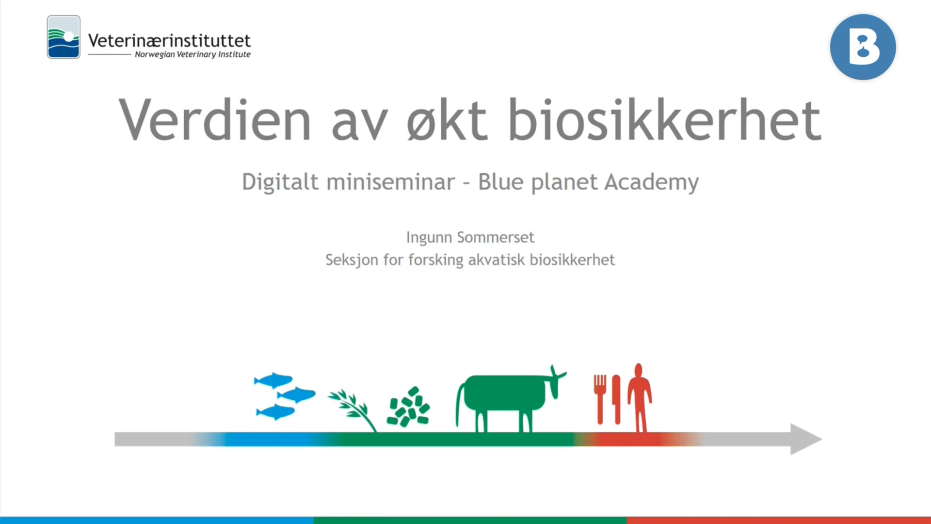 Image for Verdien av økt biosikkerhet