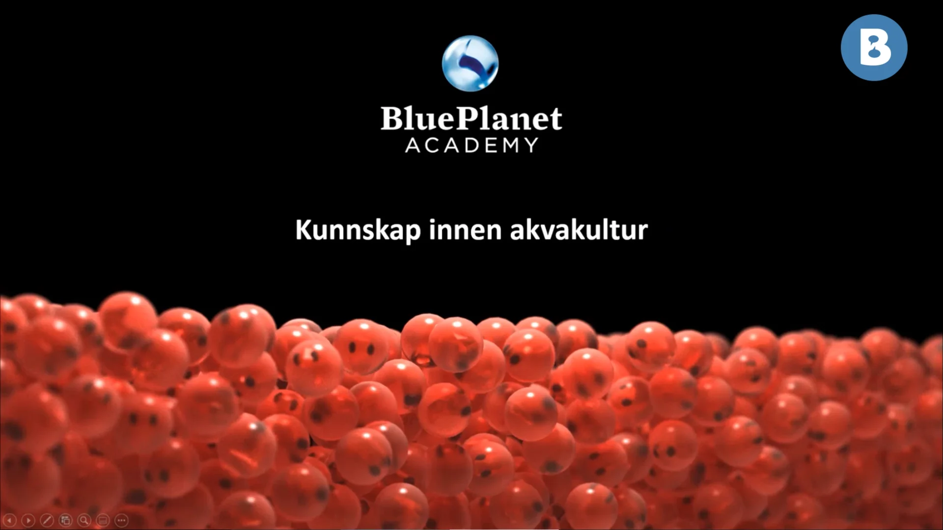Image for Storsmoltproduksjon – Kompetanse er nøkkelen til god produksjon