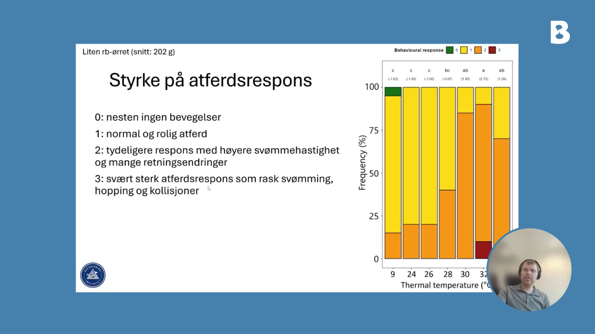 Image for Velferdseffekter av termisk behandling på laks og regnbueørret
