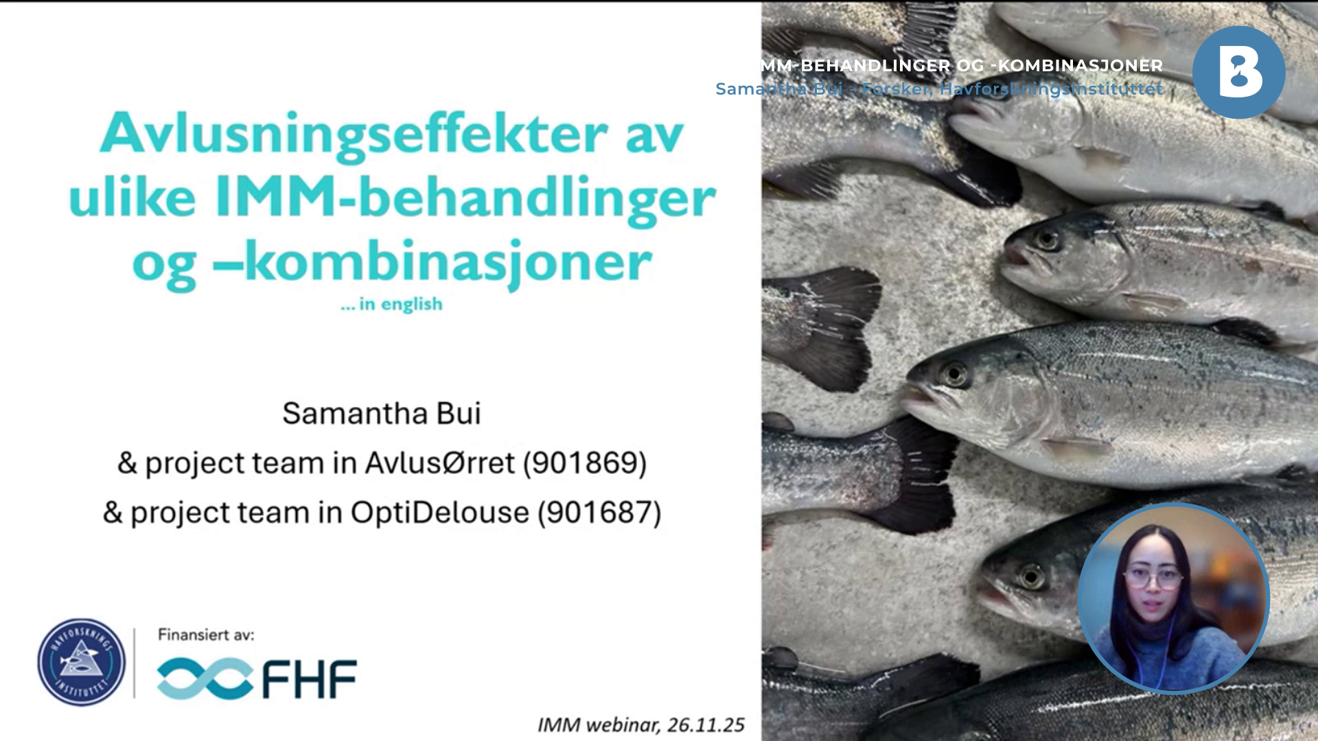 Image for Avlusningseffekter av ulike IMM-behandlinger