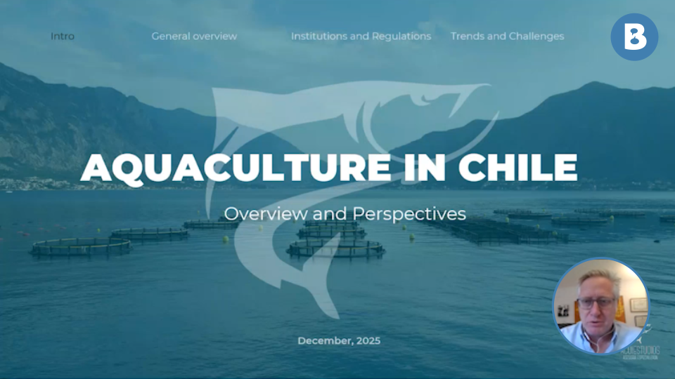 Image for Aquaculture in Chile – Overview and Perspectives