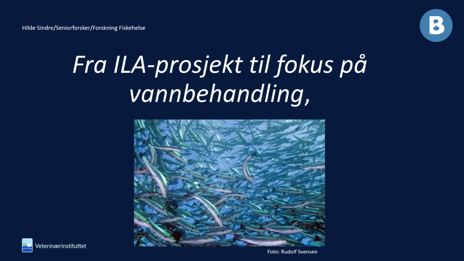 Image for Fra ILA-prosjekt til fokus på vannbehandling