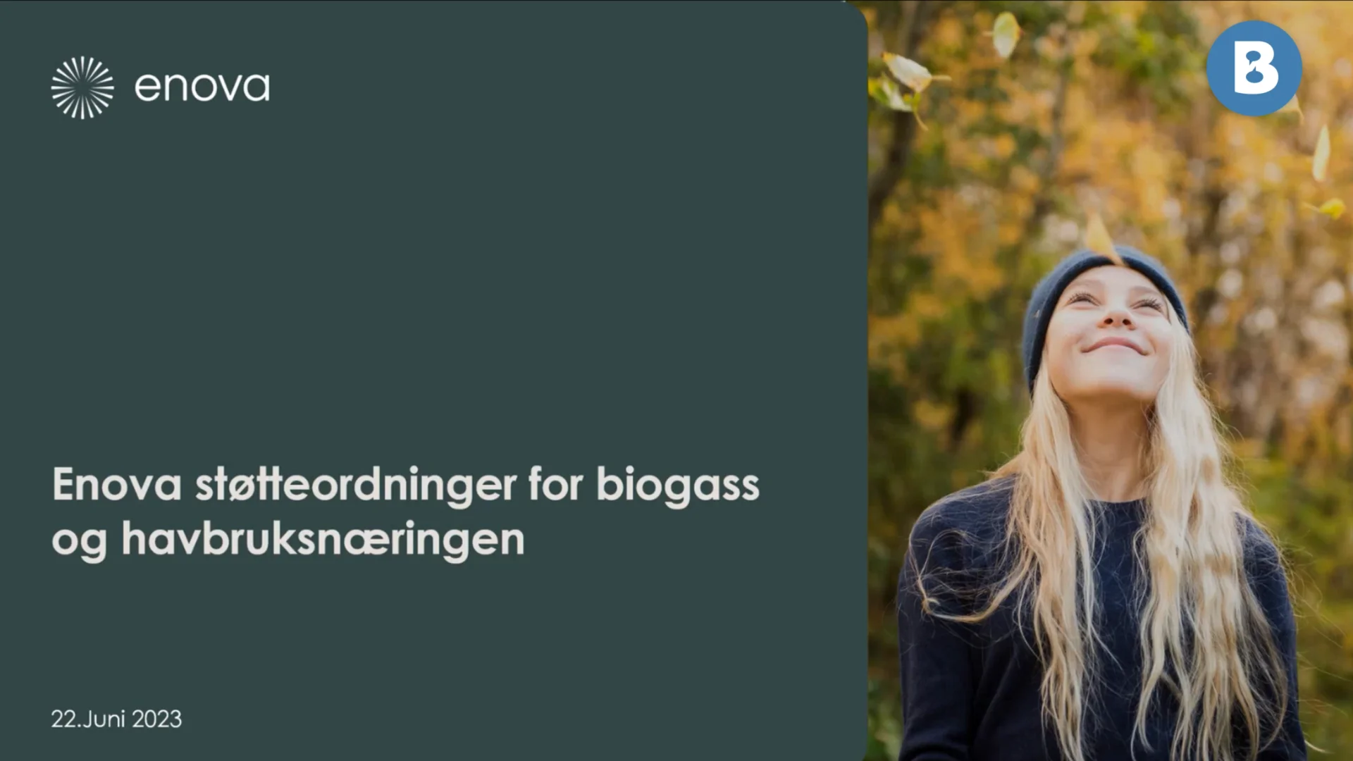 Image for Enova støtteordninger for biogass og havbruksnæringen
