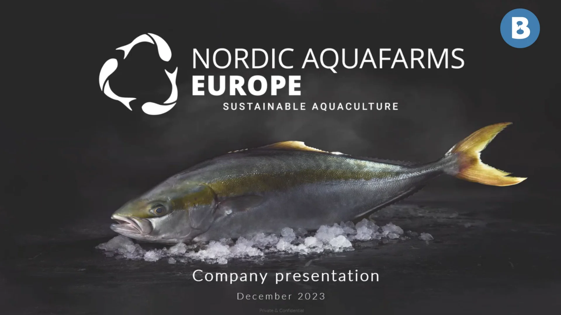 Image for Nordic Aquafarms om produksjon av Yellowtail Kingfish