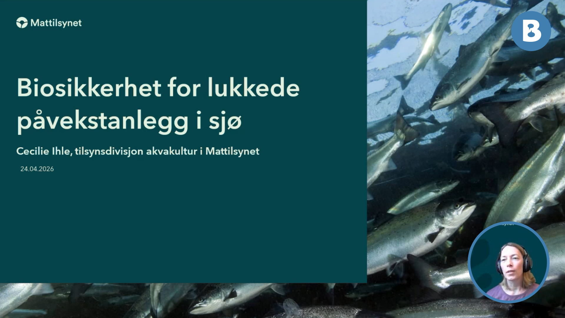 Image for Flytting og forkortet brakklegging i flytende lukket påvekstanlegg
