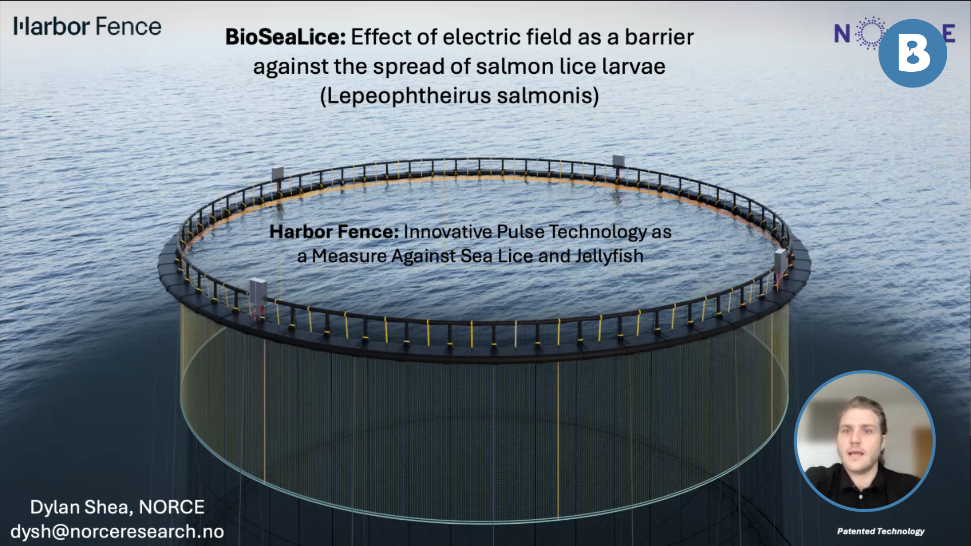 Image for Effect of Electric Field on the Spread of Salmon Lice Larvae
