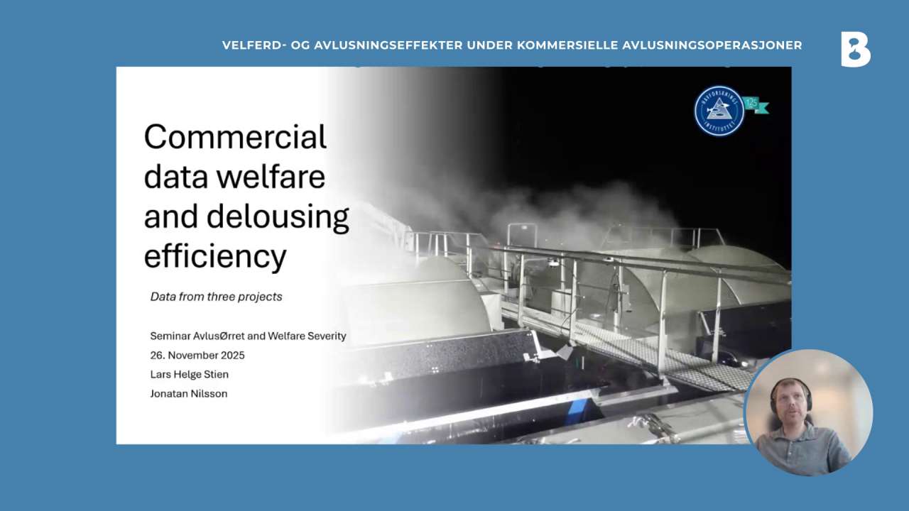 Image for Velferd ved kommersielle avlusningsoperasjoner