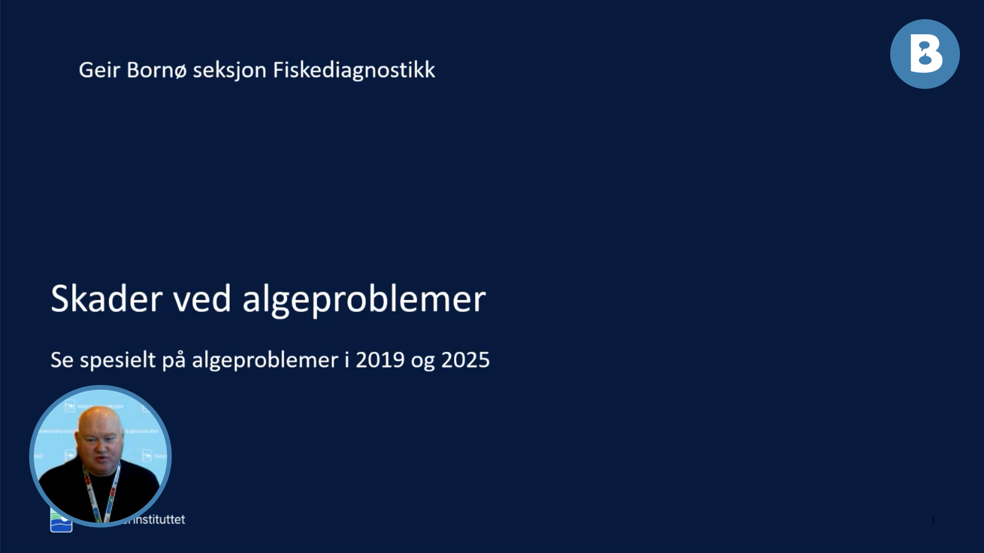 Image for Patologi og skader på laks ved alger