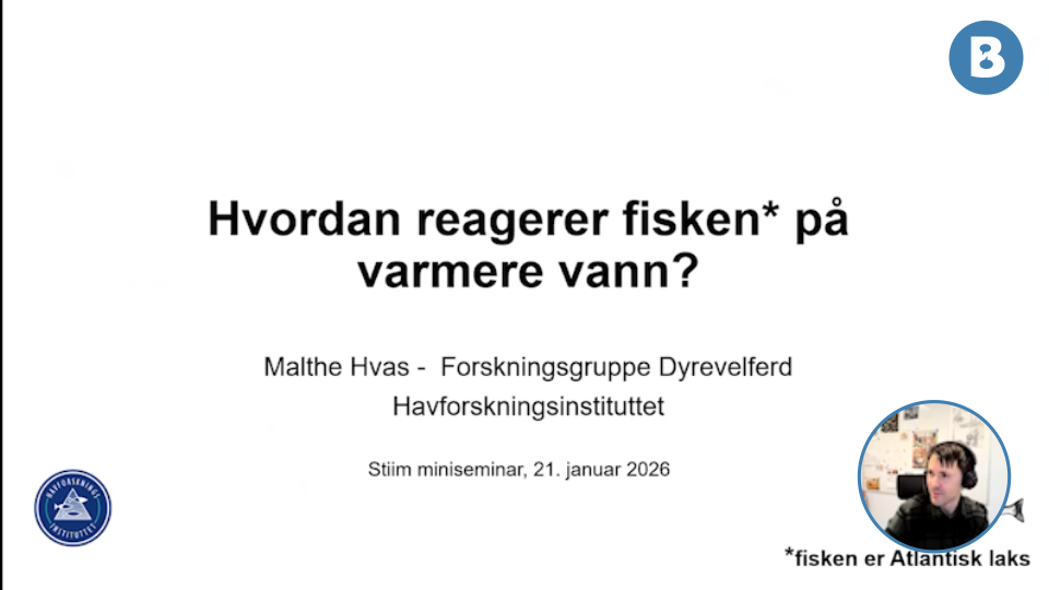 Image for Hvordan reagerer fisken på varmere vann?