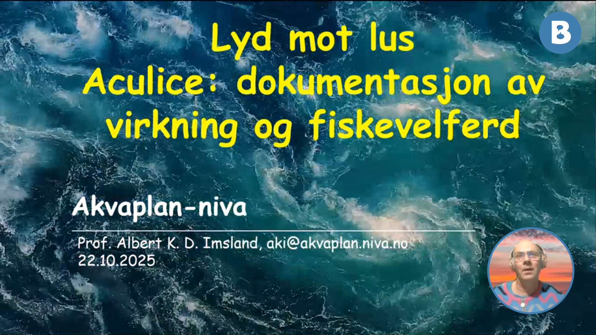 Image for Lyd mot lus – Aculice: dokumentasjon av effekt og fiskevelferd