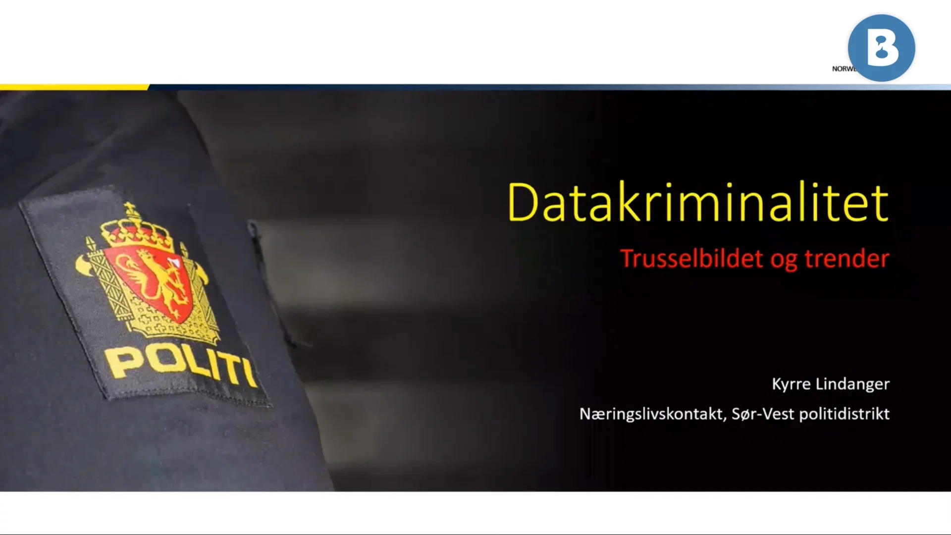 Image for Datakriminalitet og bedrageri, hvilke typer datakriminalitet finnes og hvordan skjer de