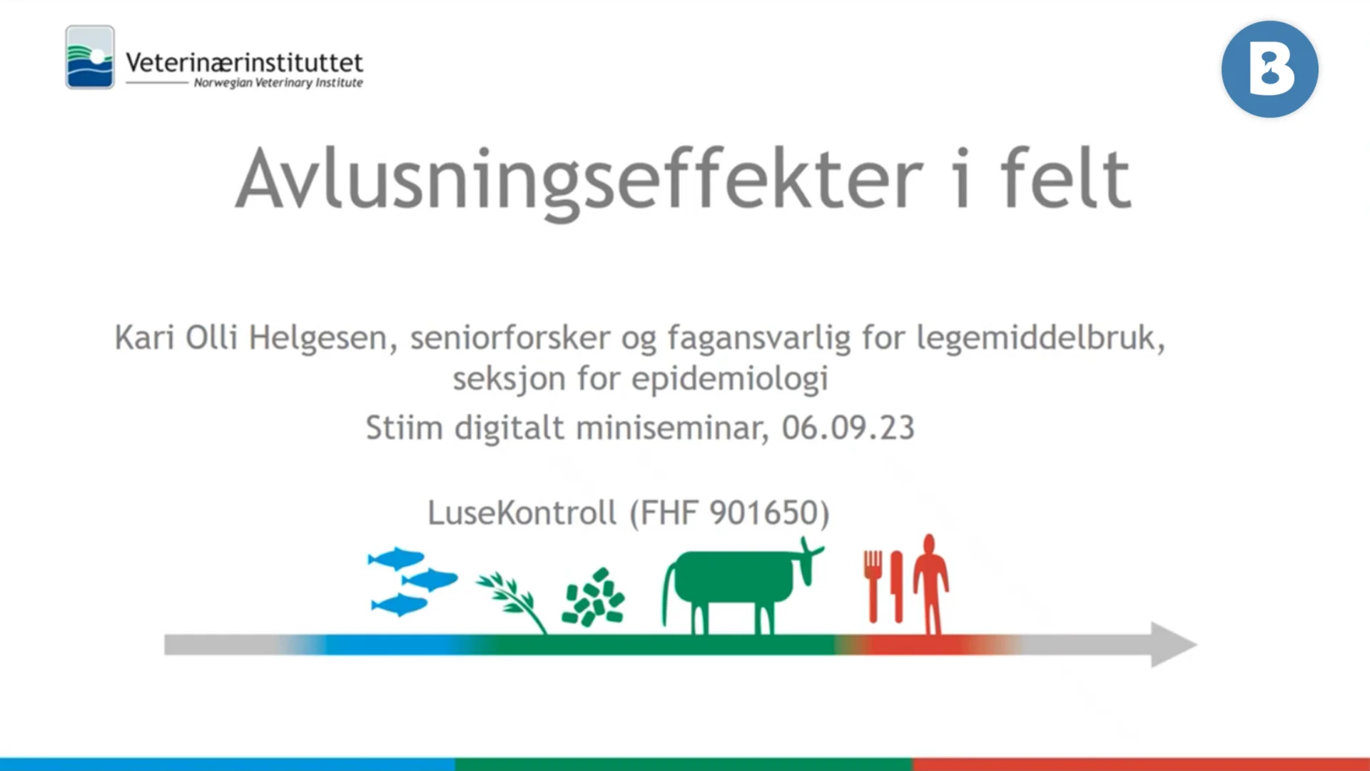 Image for Avlusingseffekter i felt – resultater fra prosjektet LuseKontroll