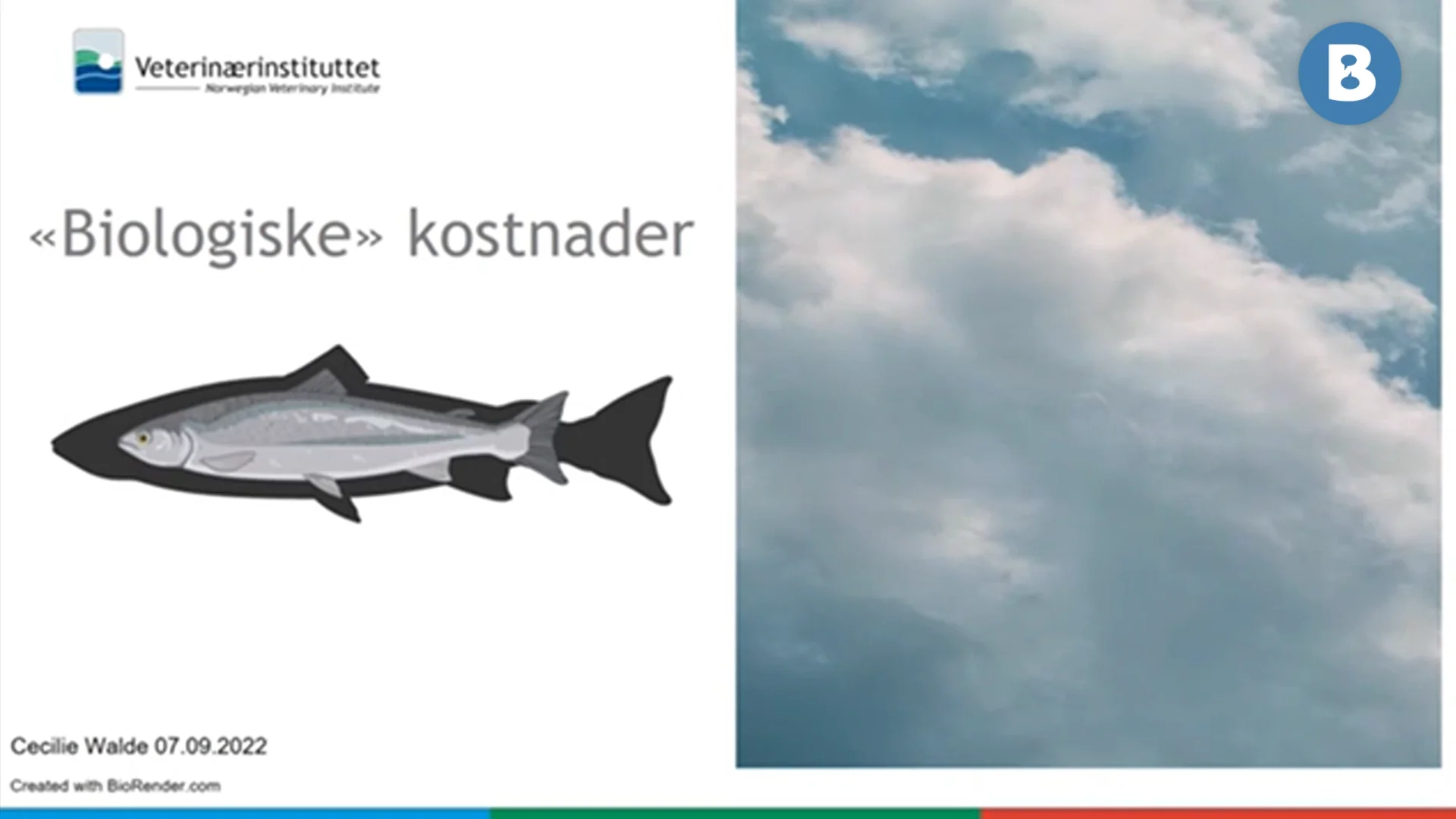 Image for Få kontroll på kostnadene – Lakselus og tap av tilvekst ved avlusning