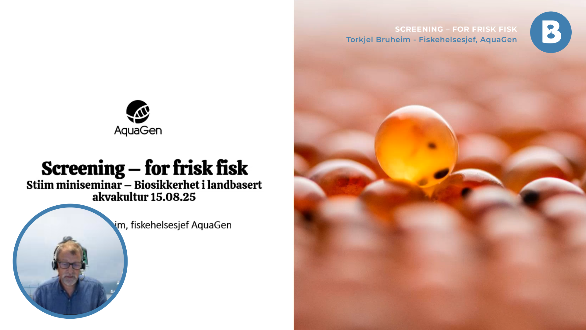 Image for Screening – for frisk fisk