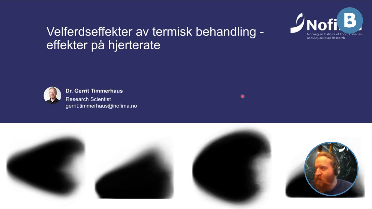 Image for Welfare effects of thermal delousing treatment